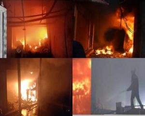 InCollage_20221103_155910343