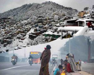 InCollage_20221114_073041479