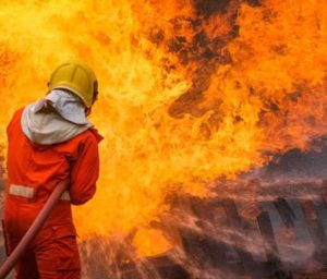 Screenshot_20221106-211606_Google