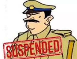 knp-photo-no_3_270_H@@IGHT_480_W@@IDTH_600