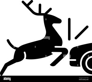 collision-with-animals-black-glyph-icon-2GY17HA