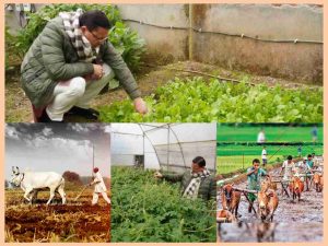 InCollage_20230129_195633222