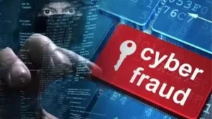 25_11_2022-cyber_fraud_23227749