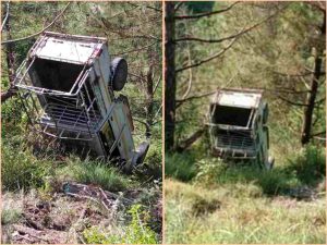 InCollage_20230828_112258075