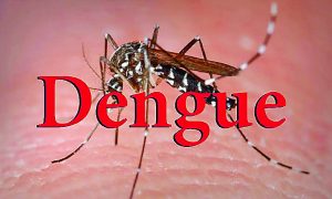 Dengue-fever
