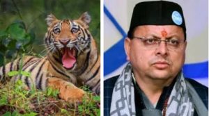 GridArt_20240119_120423213