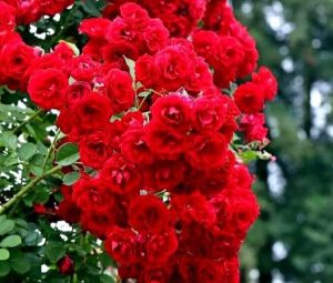 FB_IMG_1707362061197