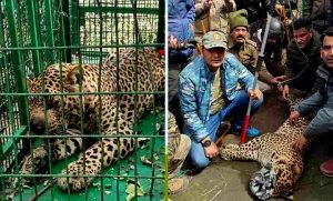 07_03_2024-guldar_23669755-780x470