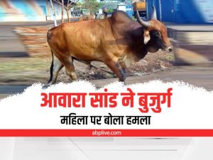 9b97d82ac0a86d47da8e4ba432d0f541_original