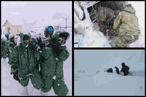 GridArt_20250228_212025406