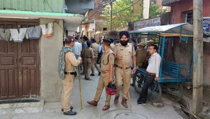 palsa-tanata_d9b09a5e843ba76fc188d98033150086