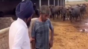 1200-675-24453888-thumbnail-16x9-majdoor