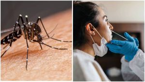 GridArt_20250612_113410318