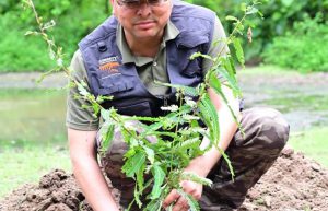 IMG-20250709-WA0026-692x445