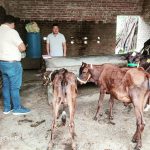 बिग ब्रेकिंग–प्रशासन की सख्त चेतावनी, पालतू जानवरों को सड़क पर छोड़ने पर लगेगा जुर्माना, समाजसेवी पीयूष की मेहनत ला रही रंग…
