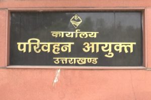 768-512-16773277-thumbnail-3x2-transfer