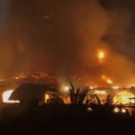 gifmagicsite-1_1765058187